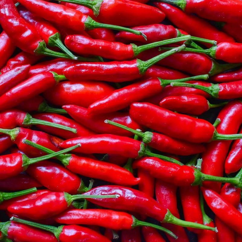 Hot Pepper Seeds, Vegetable Seeds, Variety#009 – Rooted Retreat