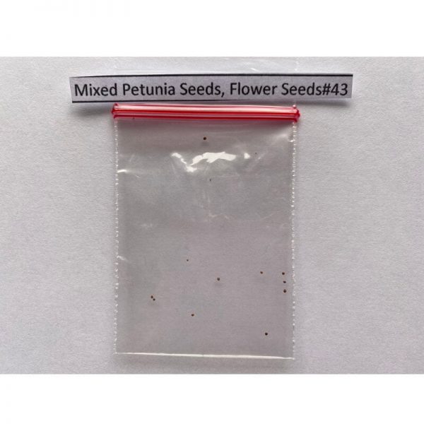 mini petunias seeds